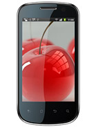 Best available price of Celkon A19 in Us